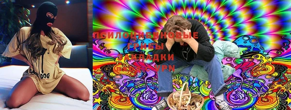 твердый Алексин