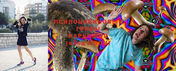твердый Алексин